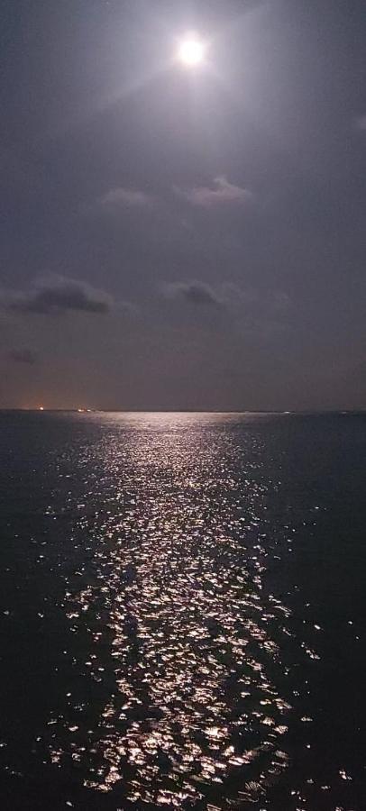 Cabana Buenos Aires Palomino Εξωτερικό φωτογραφία